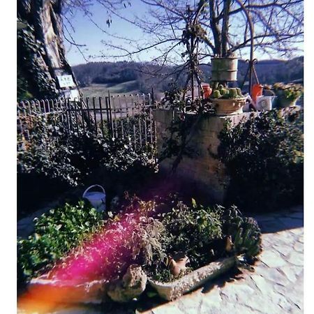 La Casina Di Ancicucco 1 Lejlighed San Gimignano Eksteriør billede