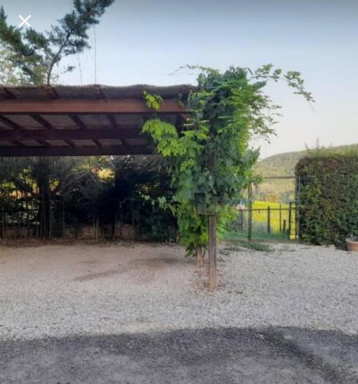 La Casina Di Ancicucco 1 Lejlighed San Gimignano Eksteriør billede