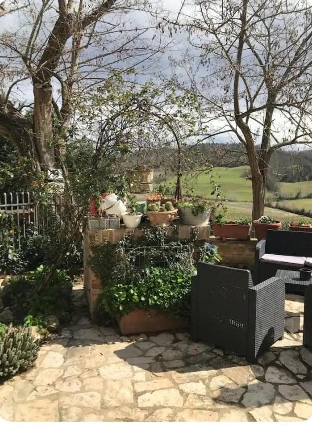 La Casina Di Ancicucco 1 Lejlighed San Gimignano Eksteriør billede