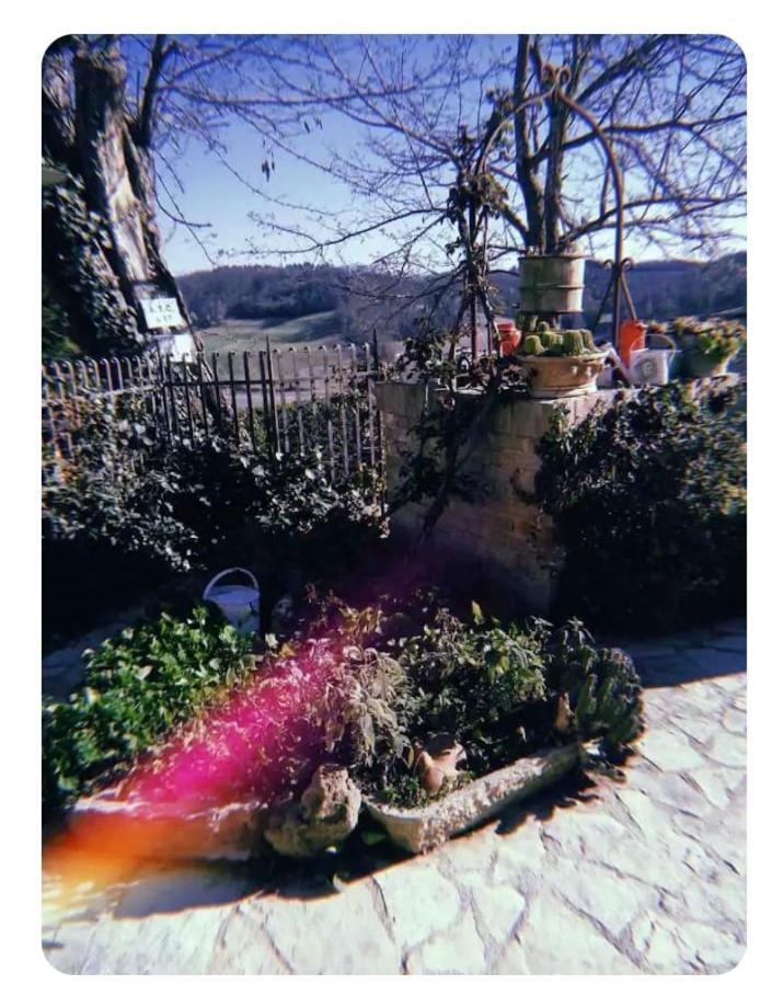 La Casina Di Ancicucco 1 Lejlighed San Gimignano Eksteriør billede